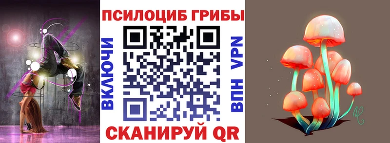 Галлюциногенные грибы Cubensis  где продают   Черногорск 