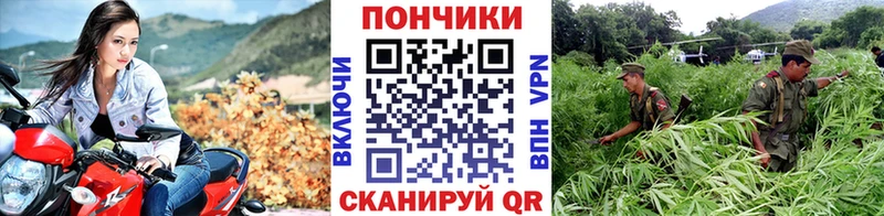 Шишки марихуана конопля  Черногорск 